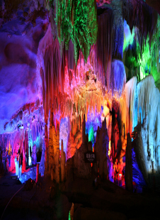 ��ţ�����^�����R�ɶ������ֺ�Ư��������